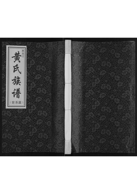 黑龙江黄氏-黄氏族谱[不分卷].pdf电子版插图