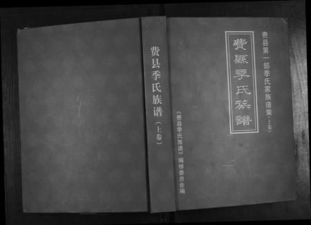 山东季氏-费县季氏族谱[2卷].pdf电子版插图