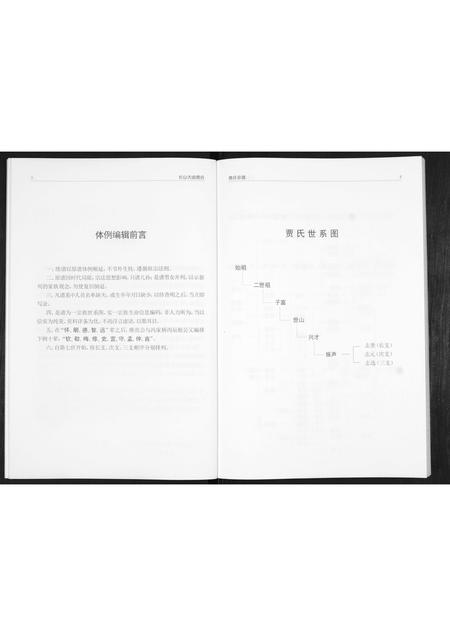 山东贾氏-贾氏宗谱.pdf电子版插图4