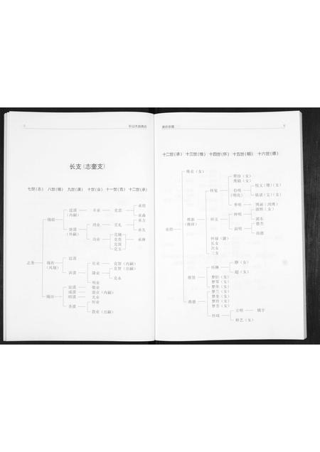 山东贾氏-贾氏宗谱.pdf电子版插图5