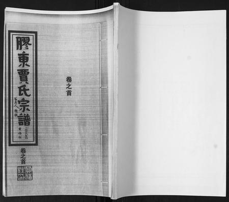 山东贾氏-贾氏宗谱[3卷,首1卷].pdf电子版插图