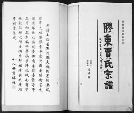 山东贾氏-贾氏宗谱[3卷,首1卷].pdf电子版插图2
