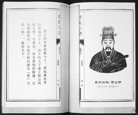 山东贾氏-贾氏宗谱[3卷,首1卷].pdf电子版插图3