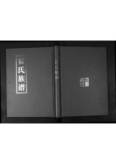 山东贾氏-贾氏族谱.pdf电子版插图