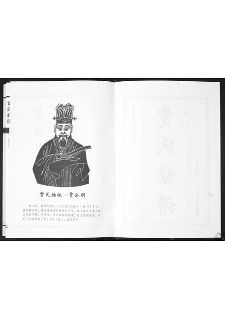 山东贾氏-贾氏族谱.pdf电子版插图2