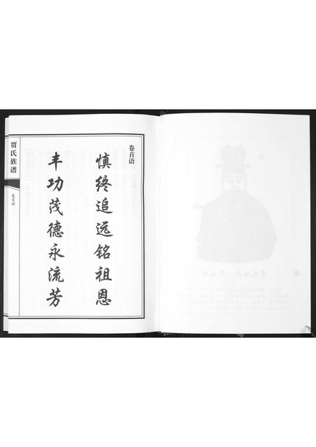 山东贾氏-贾氏族谱.pdf电子版插图3