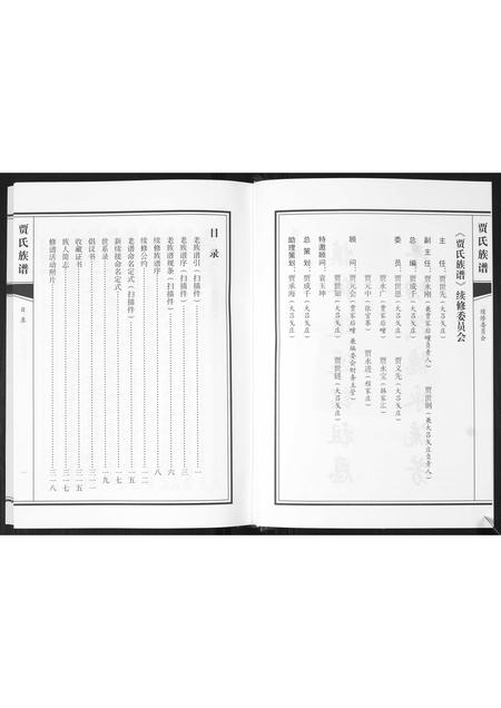 山东贾氏-贾氏族谱.pdf电子版插图4