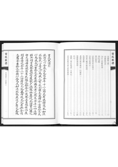 山东贾氏-贾氏族谱.pdf电子版插图5