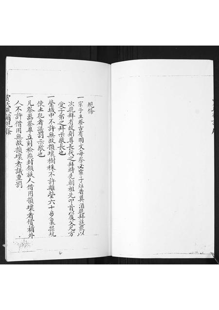 山东贾氏-贾氏族谱.pdf电子版插图4