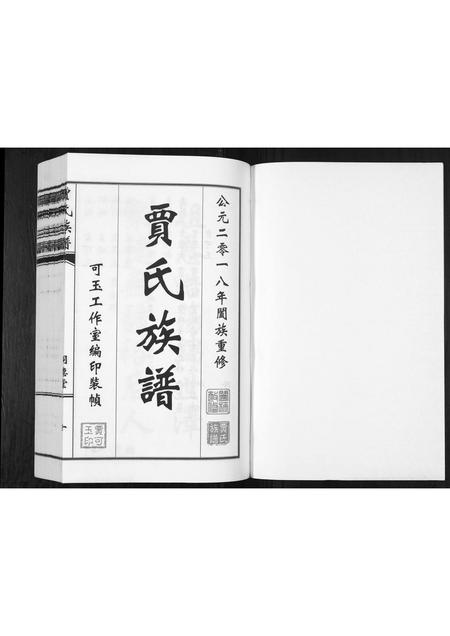山东贾氏-贾氏族谱.pdf电子版插图1