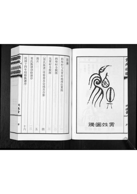 山东贾氏-贾氏族谱.pdf电子版插图4