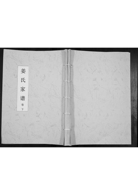 山东姜氏-姜氏家谱[上下卷].pdf电子版插图