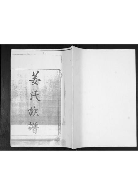 山东姜氏-姜氏族谱.pdf电子版插图