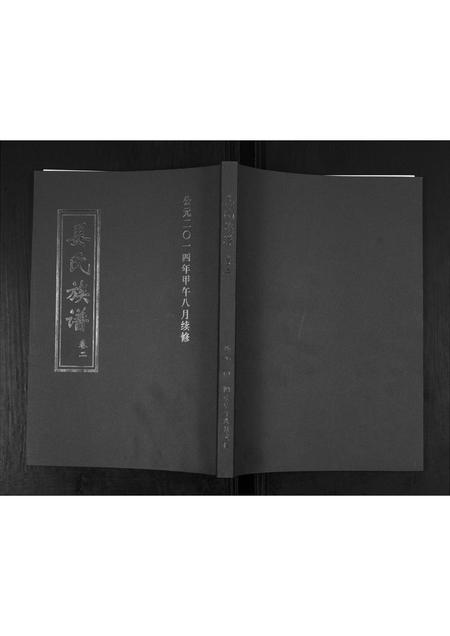 山东姜氏-姜氏族谱[2卷].pdf电子版插图