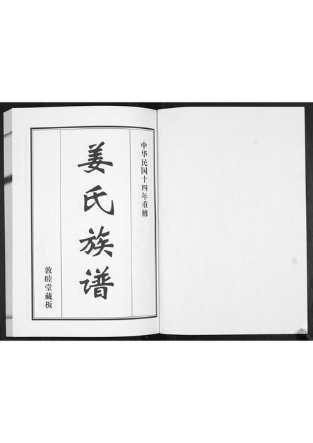 山东姜氏-姜氏族谱[2卷].pdf电子版插图1
