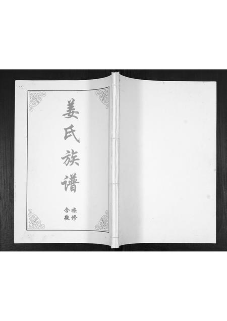 山东姜氏-姜氏族谱[2卷].pdf电子版插图