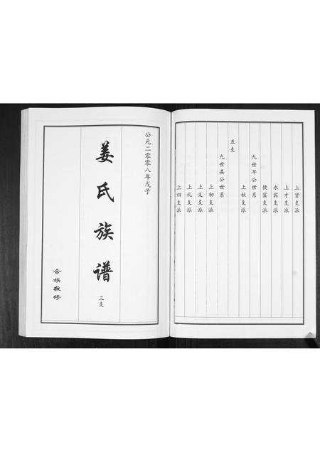 山东姜氏-姜氏族谱[2卷].pdf电子版插图5