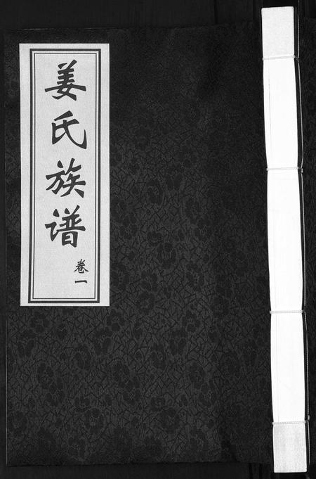 山东姜氏-姜氏族谱[8卷].pdf电子版插图