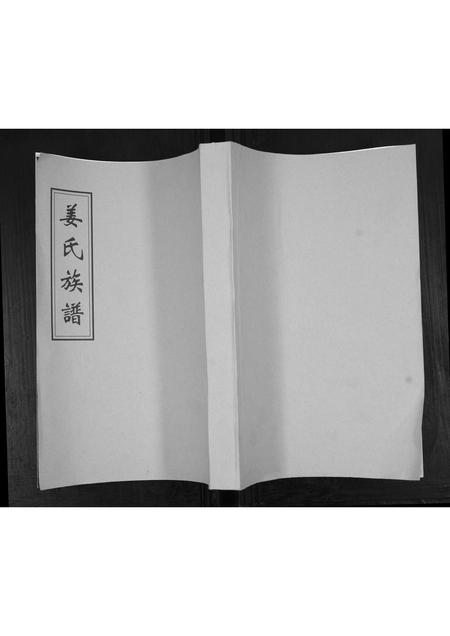山东姜氏-姜氏族谱[不分卷].pdf电子版插图