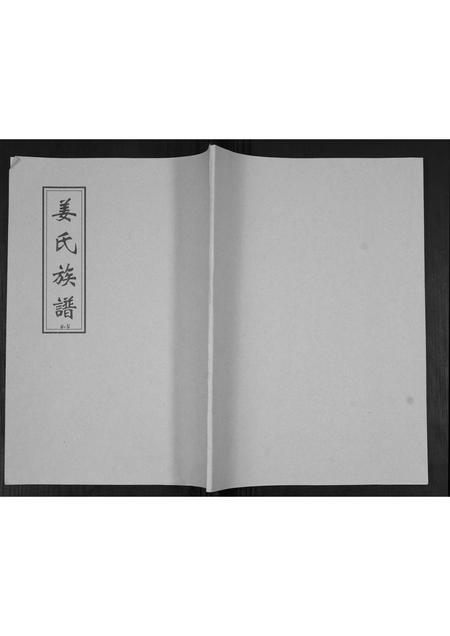 山东姜氏-姜氏族谱[不分卷].pdf电子版插图