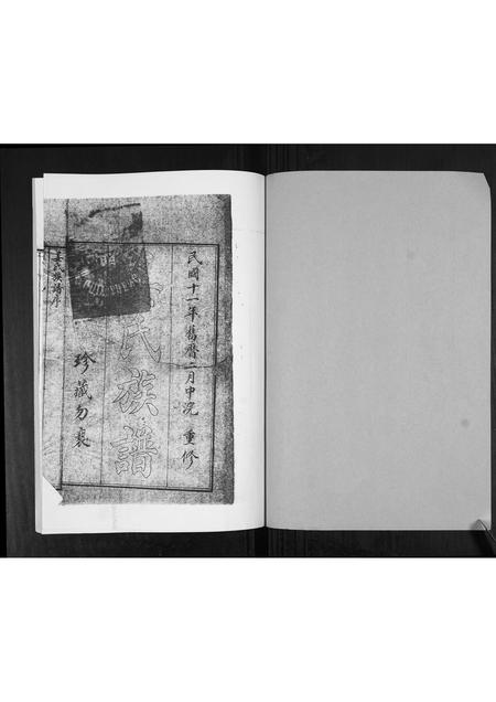 山东姜氏-姜氏族谱[不分卷].pdf电子版插图1