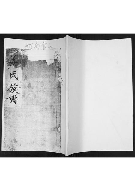 山东姜氏-姜氏族谱[不分卷].pdf电子版插图