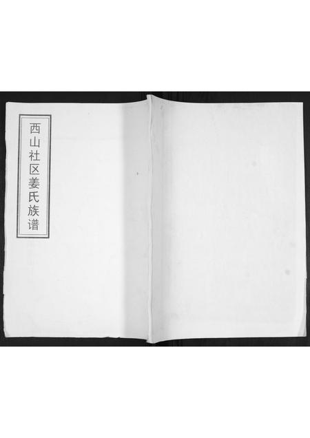 山东姜氏-姜氏族谱[不分卷].pdf电子版插图
