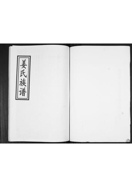 山东姜氏-姜氏族谱[不分卷].pdf电子版插图2
