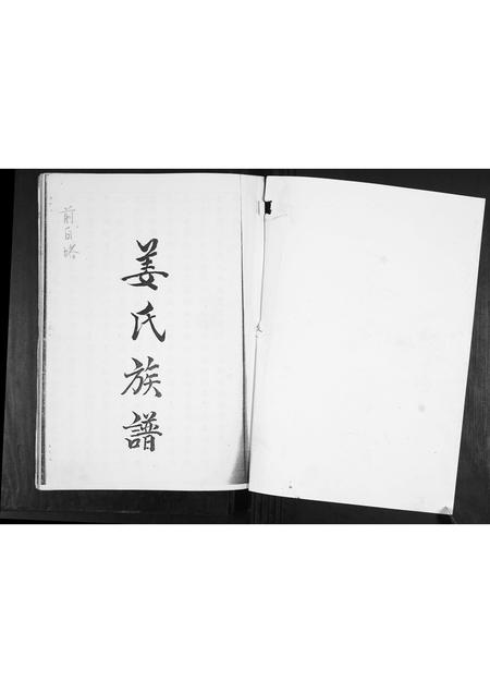 山东姜氏-姜氏族谱[不分卷].pdf电子版插图1