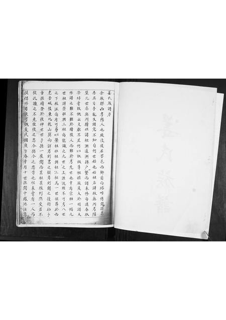 山东姜氏-姜氏族谱[不分卷].pdf电子版插图2