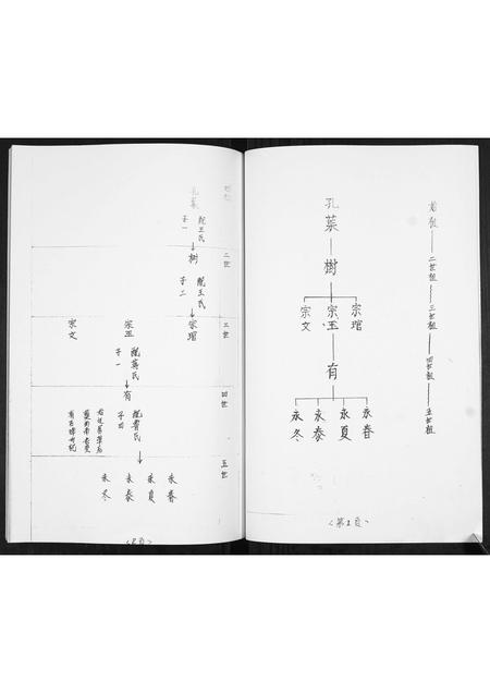 山东姜氏-姜氏族谱[不分卷].pdf电子版插图2