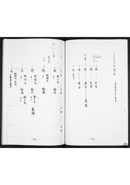山东姜氏-姜氏族谱[不分卷].pdf电子版插图3