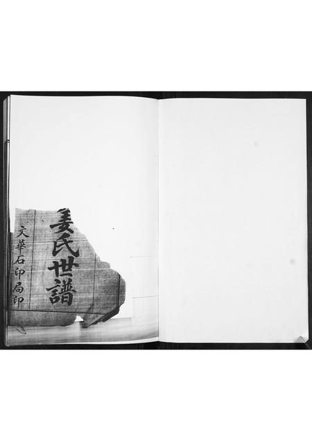 山东姜氏-姜氏族谱[不分卷].pdf电子版插图1