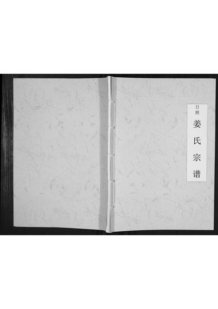 山东姜氏-日照姜氏宗谱[不分卷].pdf电子版插图