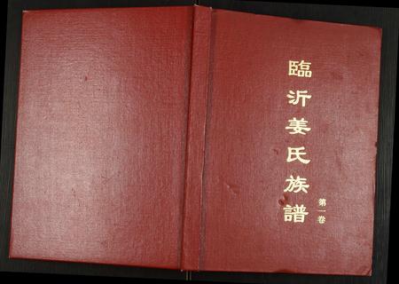 山东姜氏-临沂姜氏族谱.pdf电子版插图
