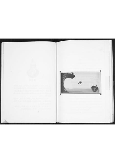 辽宁姜氏-姜氏家谱.pdf电子版插图2