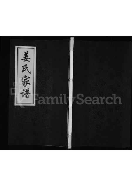 辽宁姜氏-姜氏家谱.pdf电子版