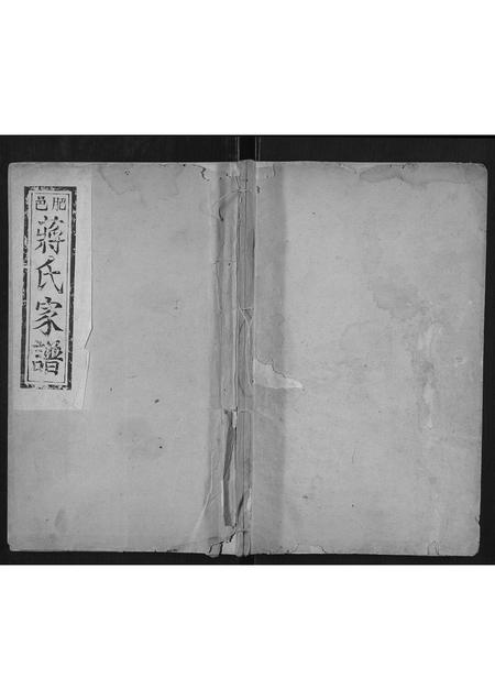 山东蒋氏-东原蒋氏家谱[不分卷].pdf电子版