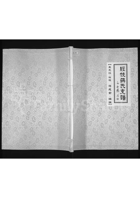 黑龙江蒋氏-绥棱蒋氏支谱(别名：蒋氏支谱).pdf电子版