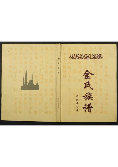 山东金氏-金氏族谱.pdf电子版