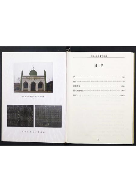 山东金氏-金氏族谱.pdf电子版插图1