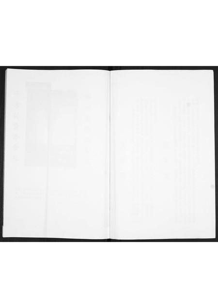 山东金氏-金氏族谱.pdf电子版