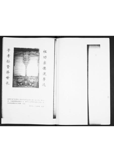 山东金氏-金氏族谱.pdf电子版插图2