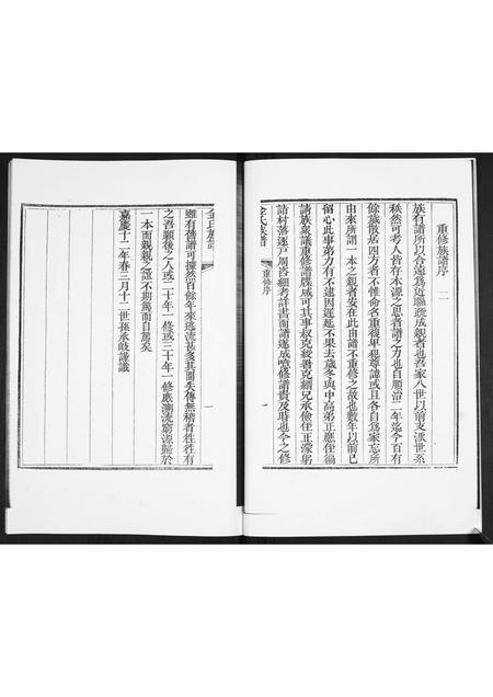 山东金氏-金氏族谱.pdf电子版插图4