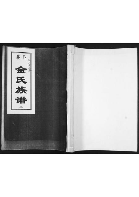 山东金氏-金氏族谱.pdf电子版