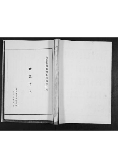 山东金氏-金氏谱书.pdf电子版
