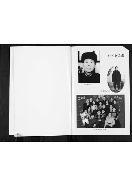 山西靳氏-靳氏家谱[不分卷].pdf电子版插图4