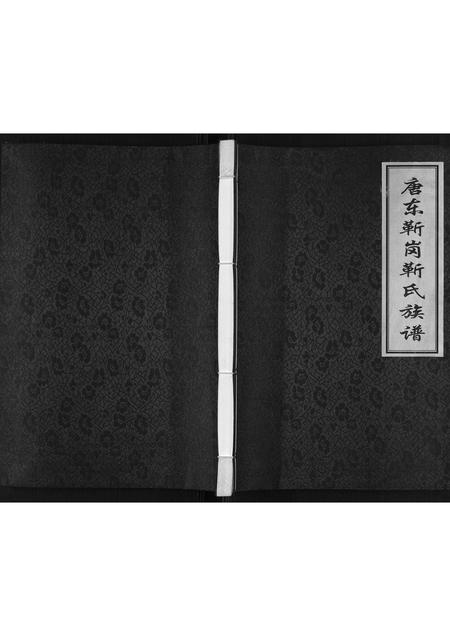 河北靳氏-唐东靳岗靳氏族谱[不分卷].pdf电子版