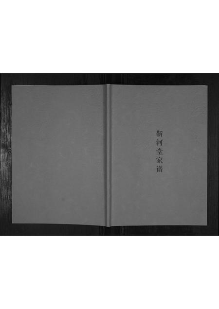 辽宁靳氏-靳河堂家谱.pdf电子版