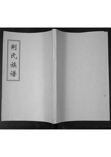 山东荆氏-荆氏族谱.pdf电子版
